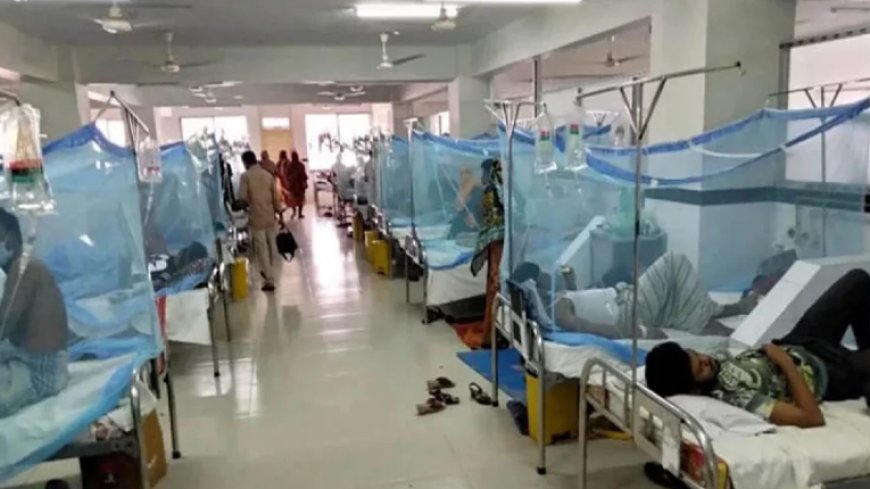 145 in dengue hospital in 24 hours