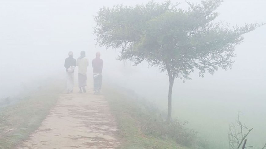 Jessore is shivering at 7.8 degrees, cold current in 21 districts