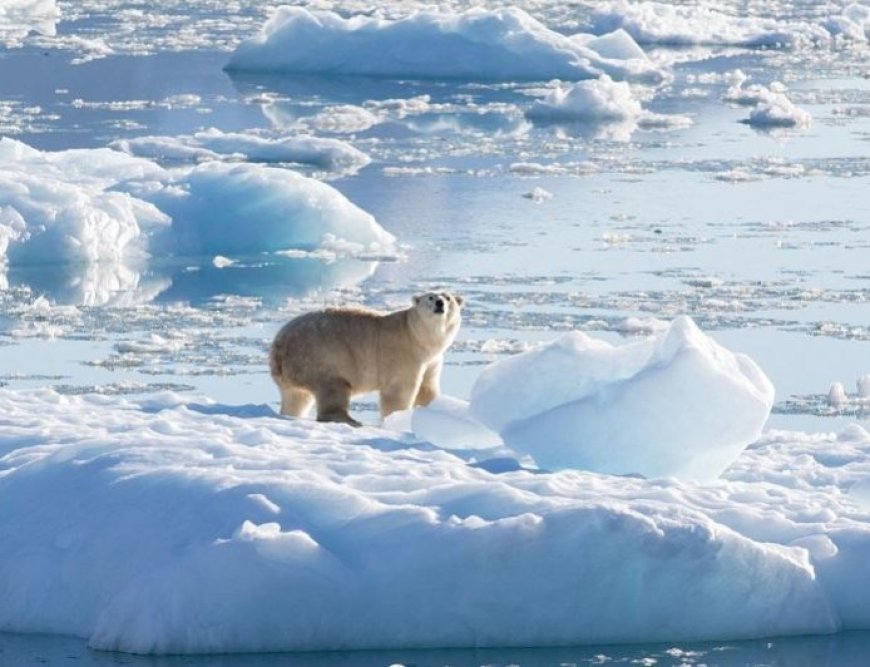 Warmest Greenland in thousands of years, scientists worry