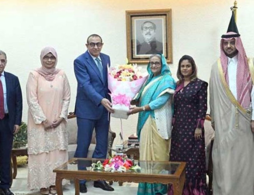 Ambassadors of seven countries meet Prime Minister Sheikh Hasina