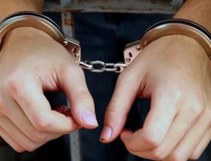 2 fugitive war criminals arrested