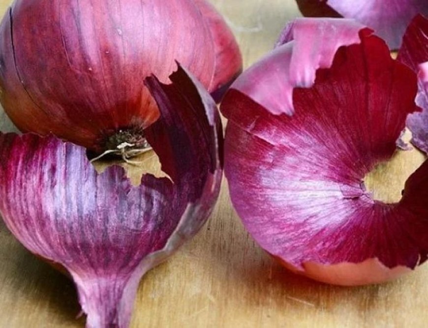 Nutritional value of onion peel