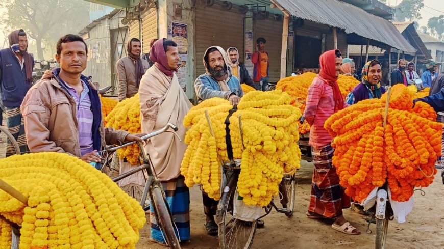 ঝিনাইদহে দু’মাসে শত কোটি টাকার ফুলের ব্যবসা