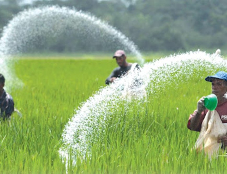 Fertilizer price increased by 5 rupees per kg